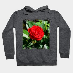 Rose Hoodie